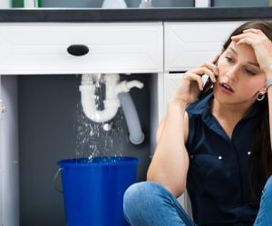 About Emergency plumbing pros Nadeau, MI